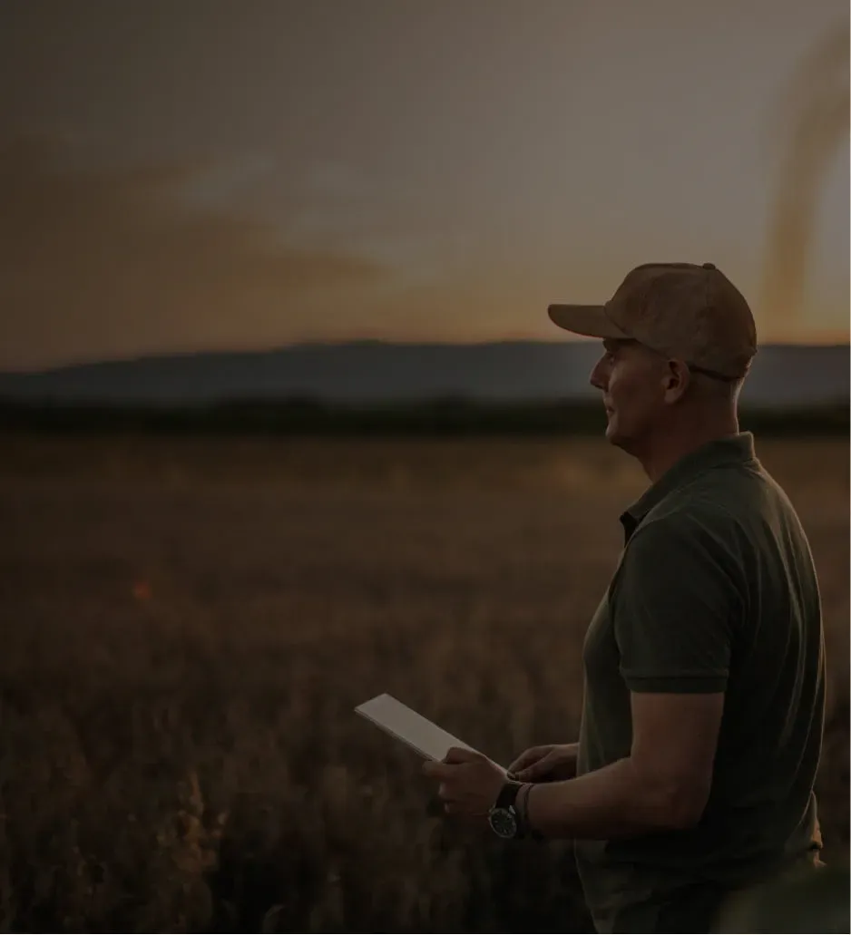 Farmer assessing crops at sunset, representing Farm Advantage’s risk management tools for maximizing agricultural margins