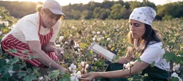 ImageOur_Clients_Cotton_Producers