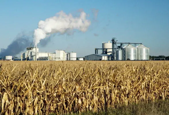 WhatWeDo_Commodity_procurement__module11