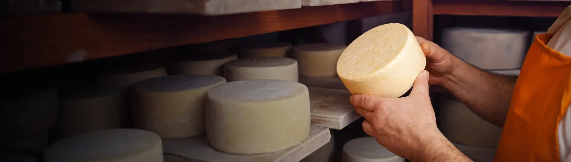 Dairy market intelligence