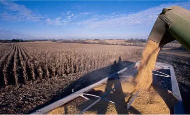Whatwedo_Consulting_Commodities