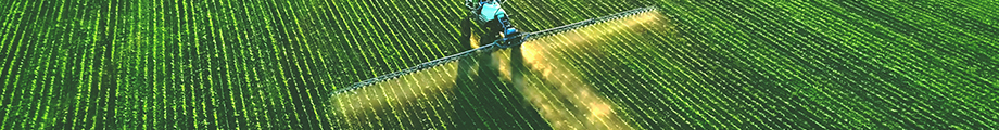Banner Currencies